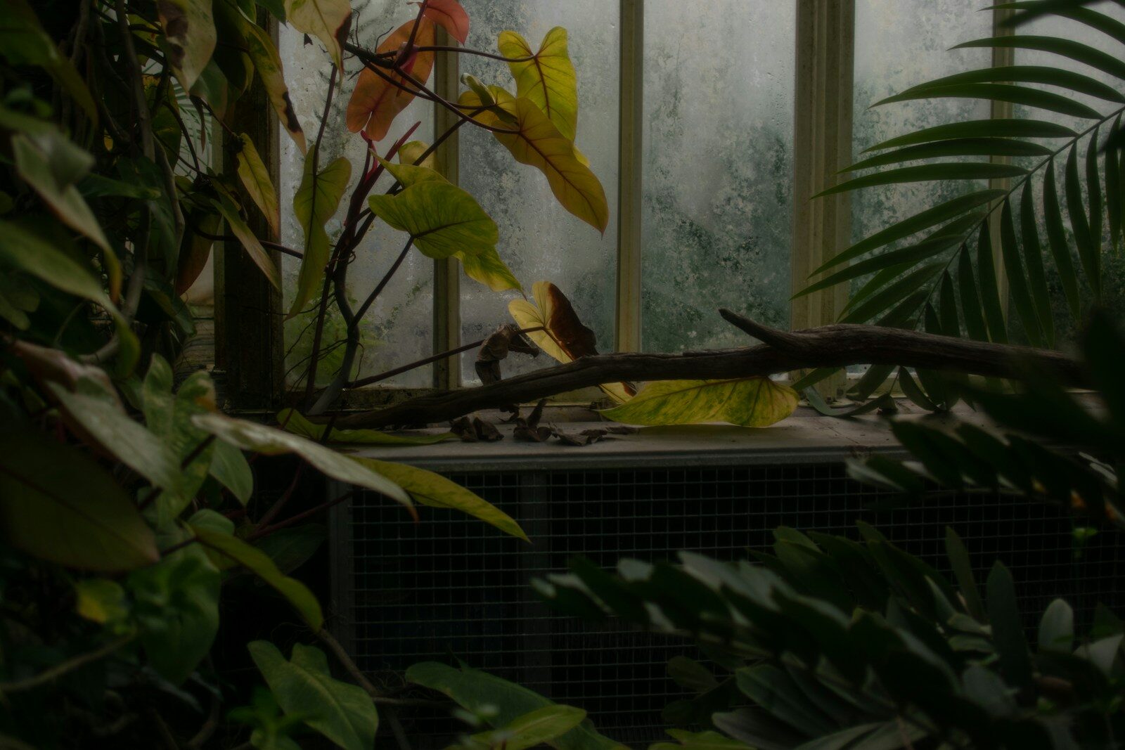 How to Improve Indoor Air Quality Naturally